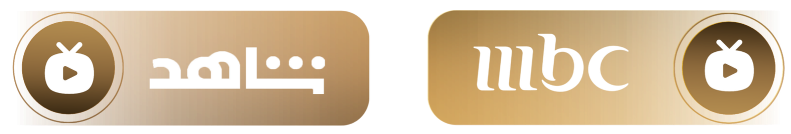 ٢٠٢٥١١٢٨_١٧٤٨٣٠